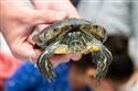 042424-swr-nature-05-3