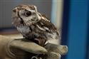 042424-swr-nature-16-14