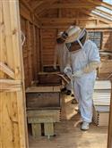 Apiary_15(2)-62