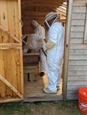 Apiary_16(2)-63