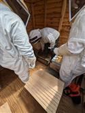 Apiary_19(2)-66