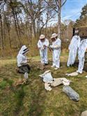 Apiary_2(2)-50