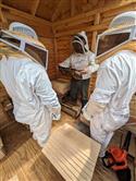 Apiary_20(2)-67