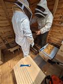 Apiary_25(2)-72