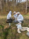 Apiary_3(2)-51