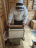 Apiary_36(2)-83