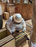 Apiary_39(2)-86