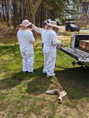 Apiary_4(2)-52
