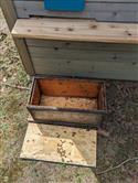 Apiary_46(2)-91
