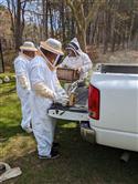 Apiary_5(2)-53
