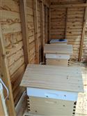 Apiary_50-48