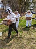 Apiary_7(2)-55