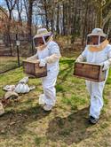 Apiary_8(2)-56