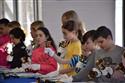 DSC_0445(2)-42