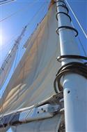 IMG_2886-5