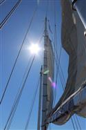 IMG_2890-6
