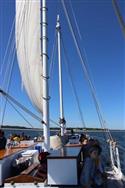 IMG_2895-7